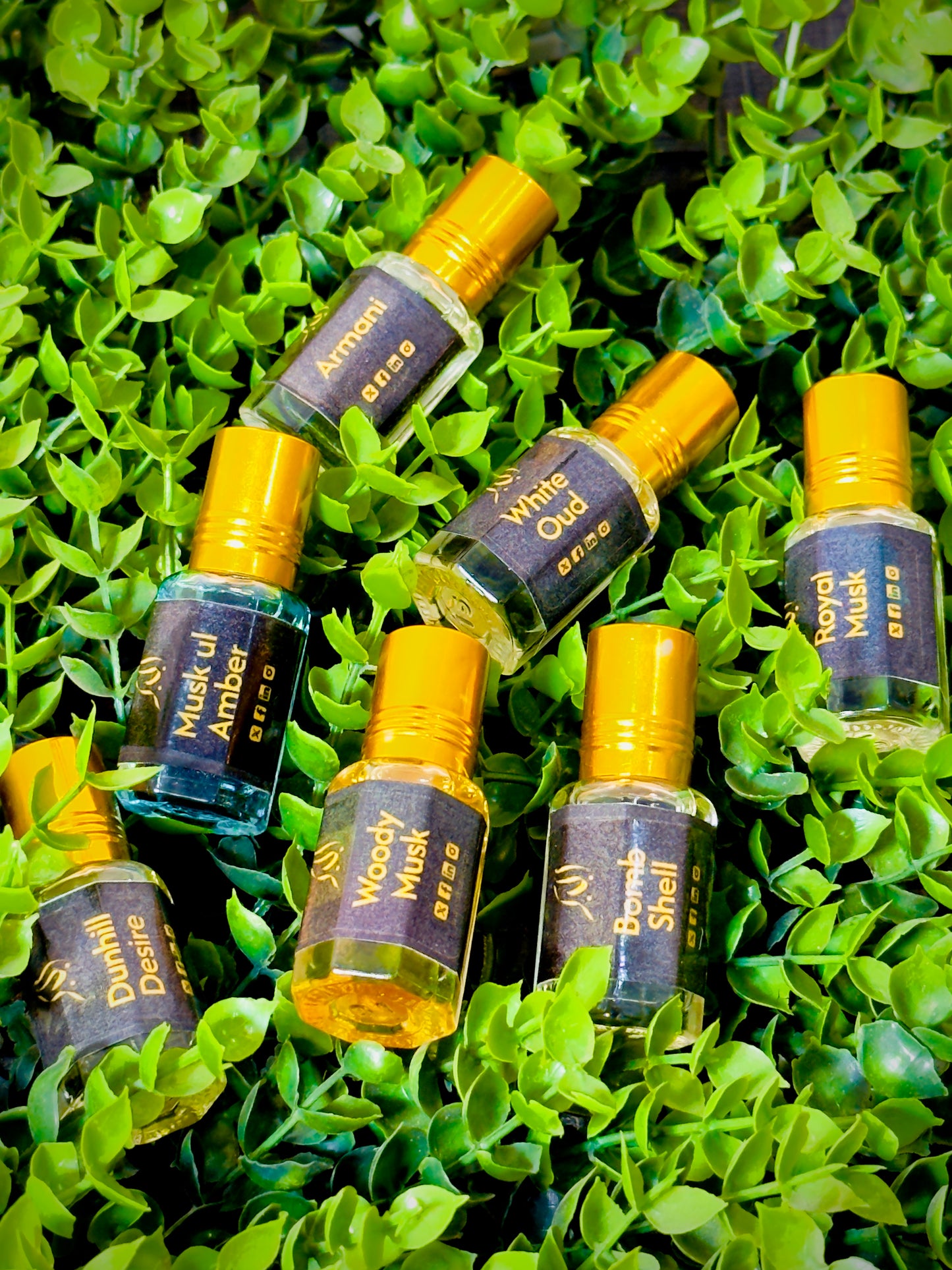 Mega Golden Deal On 7 Scents